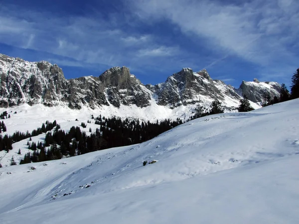 First Snow Alvier Group Mountain Range Canton Gallen Switzerland — Stockfoto