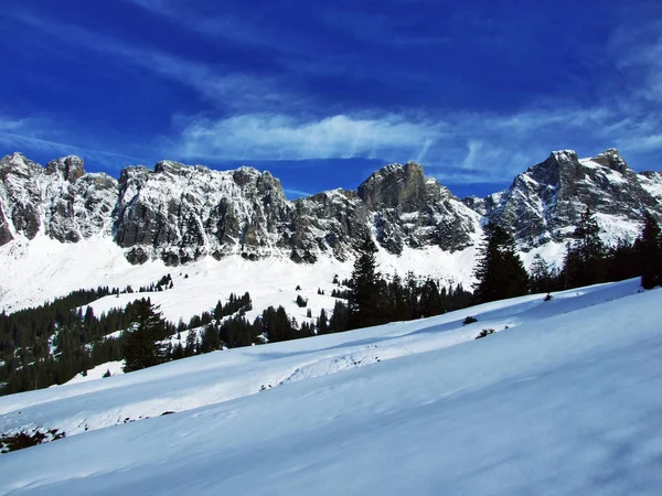 Primeira Neve Cordilheira Grupo Alvier Cantão Gallen Suíça — Fotografia de Stock