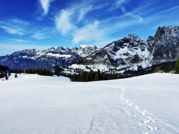 Der Erste Schnee Gebirge Der Aleviergruppe Kanton Gallen Schweiz — Stockfoto