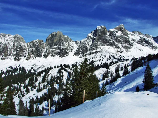 Eerste Sneeuw Alvier Groep Bergketen Kanton Gallen Zwitserland — Stockfoto
