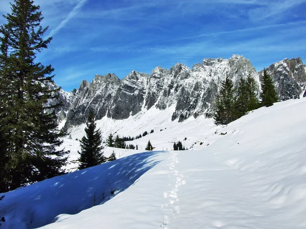 Eerste Sneeuw Alvier Groep Bergketen Kanton Gallen Zwitserland — Stockfoto