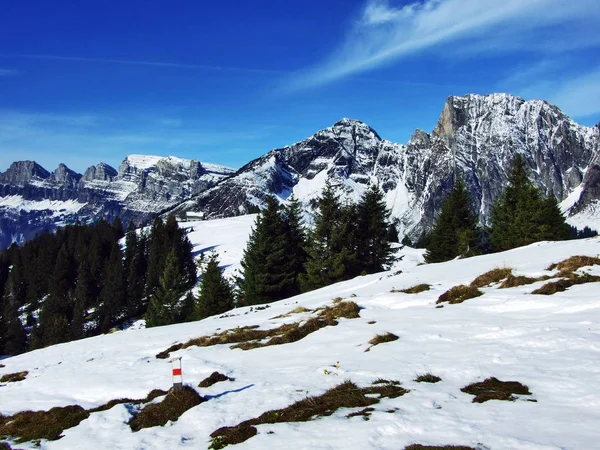 Primera Nieve Cordillera Del Grupo Alvier Cantón Gallen Suiza —  Fotos de Stock