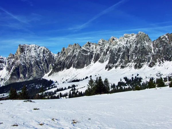 Primeira Neve Cordilheira Grupo Alvier Cantão Gallen Suíça — Fotografia de Stock