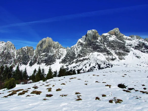 Primeira Neve Cordilheira Grupo Alvier Cantão Gallen Suíça — Fotografia de Stock