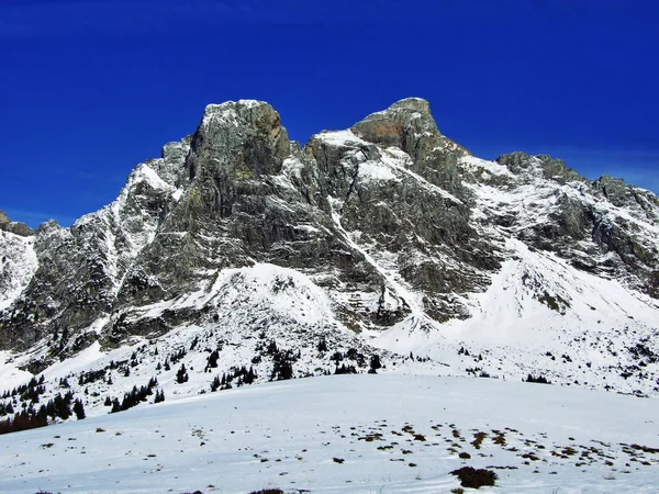 Der Erste Schnee Gebirge Der Aleviergruppe Kanton Gallen Schweiz — Stockfoto