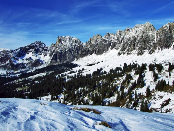 Eerste Sneeuw Alvier Groep Bergketen Kanton Gallen Zwitserland — Stockfoto