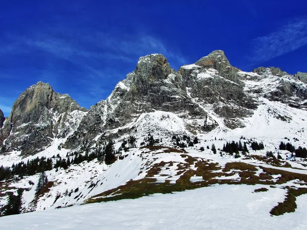 Primeira Neve Cordilheira Grupo Alvier Cantão Gallen Suíça — Fotografia de Stock