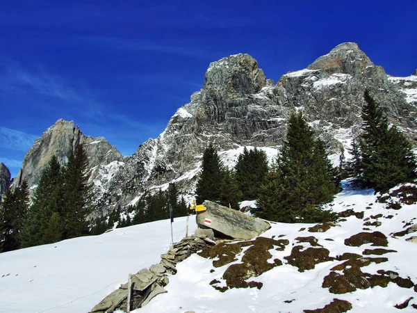 Eerste Sneeuw Alvier Groep Bergketen Kanton Gallen Zwitserland — Stockfoto