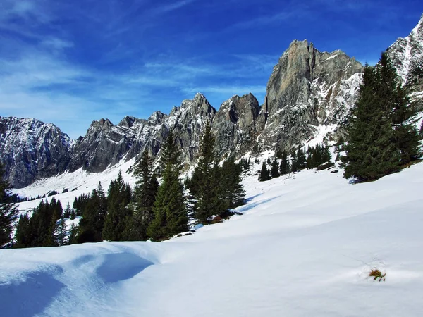 Eerste Sneeuw Alvier Groep Bergketen Kanton Gallen Zwitserland — Stockfoto