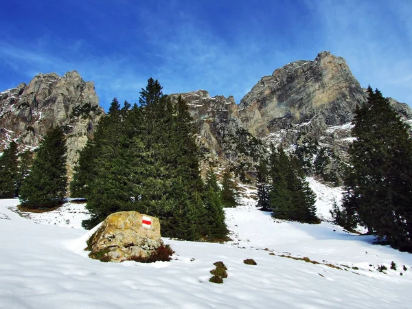 First Snow Alvier Group Mountain Range Canton Gallen Switzerland — Φωτογραφία Αρχείου