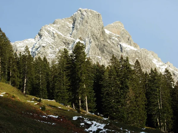 Primera Nieve Cordillera Del Grupo Alvier Cantón Gallen Suiza —  Fotos de Stock