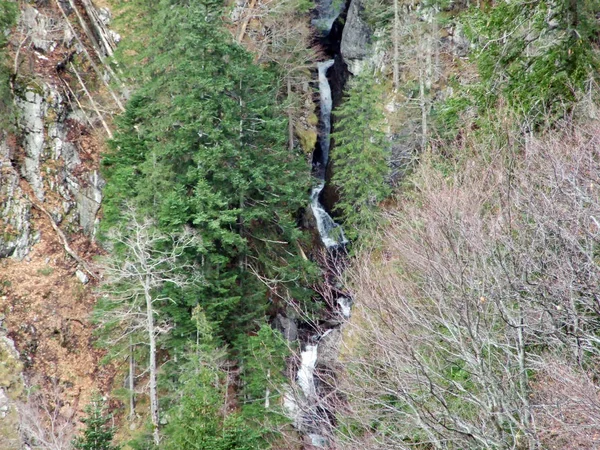 Cachoeiras Cascatas Riacho Berschnerbach Seus Afluentes Cantão Gallen Suíça — Fotografia de Stock