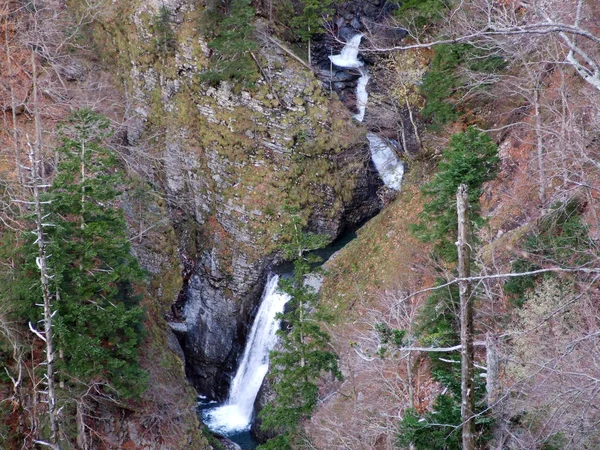 Cachoeiras Cascatas Riacho Berschnerbach Seus Afluentes Cantão Gallen Suíça — Fotografia de Stock