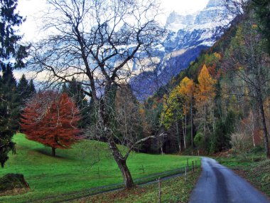 Mera ve çiftlikleri Seez Vadisi Nehri ve Malun Dağı Yaylası - Canton St. Gallen, İsviçre üzerinde geç sonbahar atmosfer