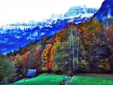 Sonbahar yaprak döken ormanlarda Seez Nehri vadisinde veya Seeztal Vadisi - Canton St. Gallen, İsviçre