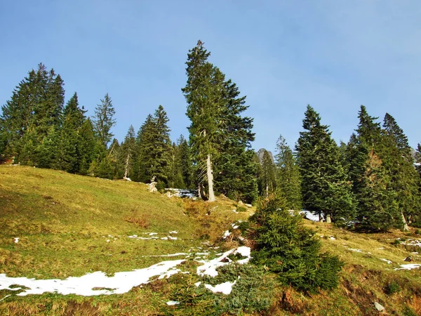 Pozdně Podzimní Atmosféra Pastviny Farem Řece Údolí Seez Malun Mountain — Stock fotografie