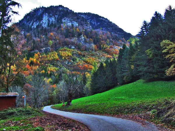 Ősszel Lombhullató Erdőkben Seez Folyó Völgyére Vagy Seeztal Völgy Gallen — Stock Fotó