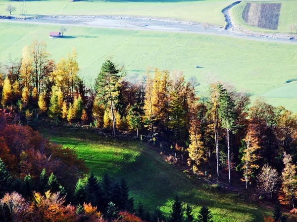 Podzim Listnatých Lesích Údolí Řeky Seez Nebo Seeztal Údolí Kantonu — Stock fotografie
