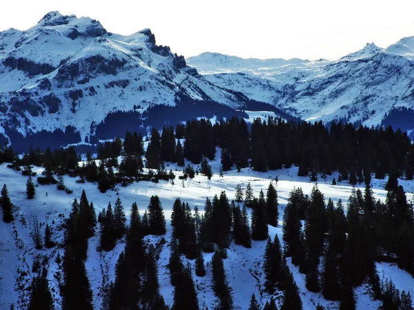 Взимку Сніг Альпійських Вершин Швейцарії Glarus Альп Кантону Санкт Галлен — стокове фото