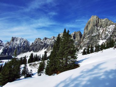 Ağaçlar ve iğne yapraklı ormanlar yamaçları dağ büyük Alvier grup arasındaki Seeztal Vadisi - Canton St. Gallen, İsviçre