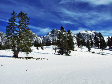 Alvier ilk kar grup dağ silsilesi - Canton St. Gallen, İsviçre