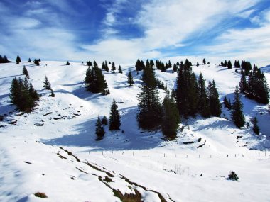 Alvier ilk kar grup dağ silsilesi - Canton St. Gallen, İsviçre