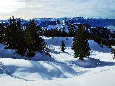 Alvier ilk kar grup dağ silsilesi - Canton St. Gallen, İsviçre