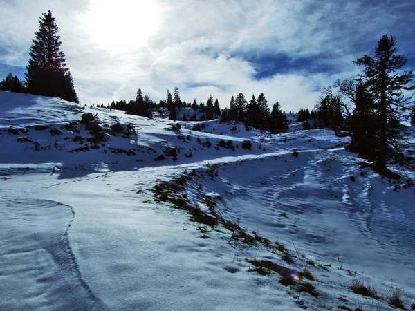 Перший Сніг Alvier Згрупувати Гірський Хребет Кантону Санкт Галлен Швейцарія — стокове фото