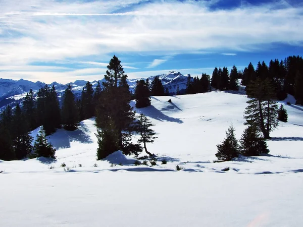 Primeira Neve Cordilheira Grupo Alvier Cantão Gallen Suíça — Fotografia de Stock