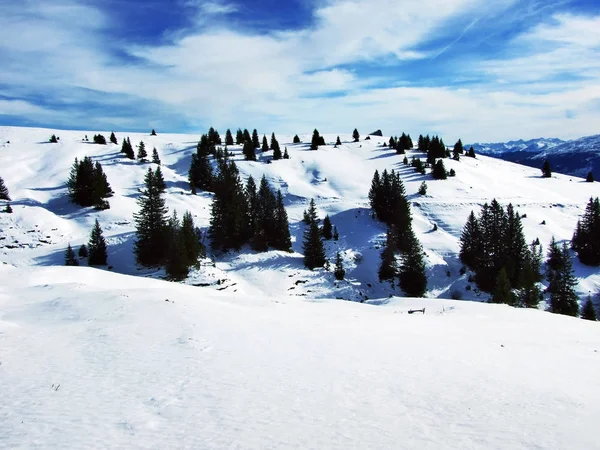 Primeira Neve Cordilheira Grupo Alvier Cantão Gallen Suíça — Fotografia de Stock