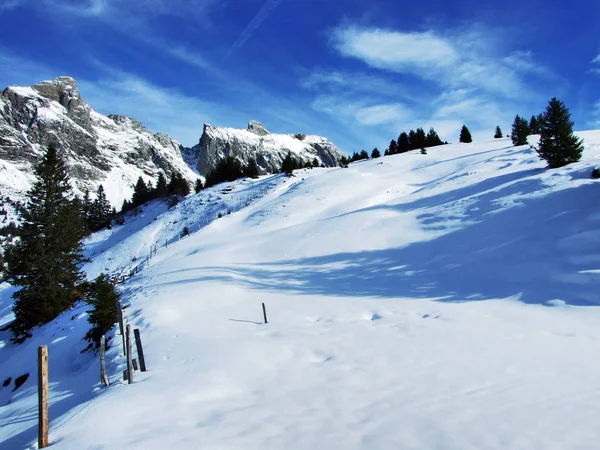 Eerste Sneeuw Alvier Groep Bergketen Kanton Gallen Zwitserland — Stockfoto