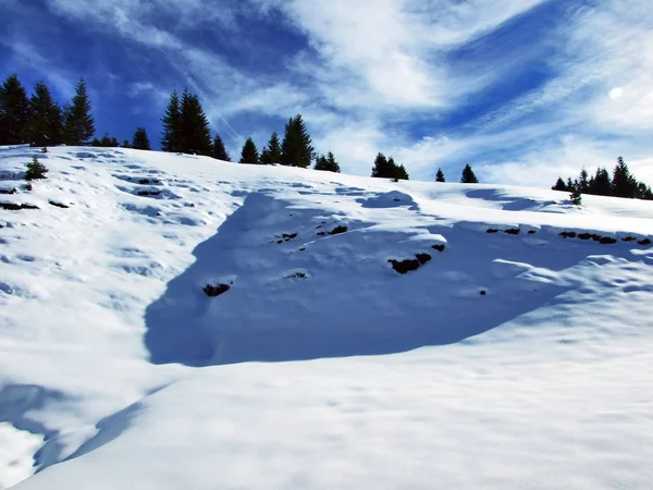 Primera Nieve Cordillera Del Grupo Alvier Cantón Gallen Suiza —  Fotos de Stock