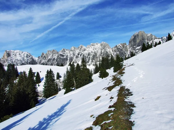 Primera Nieve Cordillera Del Grupo Alvier Cantón Gallen Suiza —  Fotos de Stock