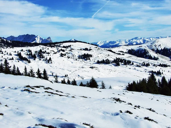 Der Erste Schnee Gebirge Der Aleviergruppe Kanton Gallen Schweiz — Stockfoto