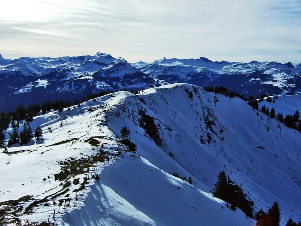 Eerste Sneeuw Alvier Groep Bergketen Kanton Gallen Zwitserland — Stockfoto