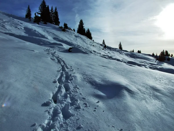 Première Neige Sur Chaîne Montagnes Groupe Alvier Canton Saint Gall — Photo