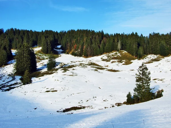Una Atmósfera Otoño Invierno Pastos Granjas Zona Schwagalp Cantón Appenzell —  Fotos de Stock