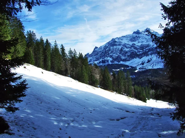 Impozantní Vrchol Santis Alpstein Pohoří Kanton Appenzell Ausserrhoden Švýcarsko — Stock fotografie