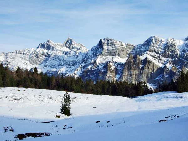 Imponente Cima Santis Cordillera Alpstein Cantón Appenzell Ausserrhoden Suiza —  Fotos de Stock