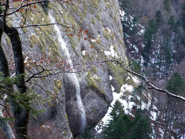 Watervallen Schwagalp Regio Canyon Ofenloch Kanton Gallen Zwitserland — Stockfoto