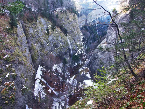 Cascades Dans Région Schwagalp Dans Canyon Ofenloch Canton Saint Gall — Photo