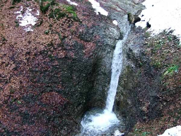 Wasserfälle Der Schwagalp Und Canyon Ofenloch Kanton Gallen Schweiz — Stockfoto