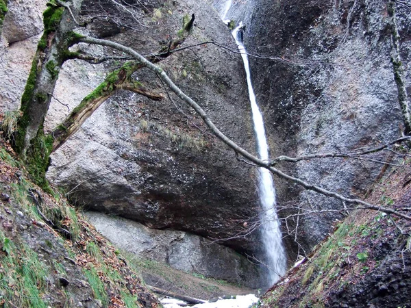 Watervallen Schwagalp Regio Canyon Ofenloch Kanton Gallen Zwitserland — Stockfoto