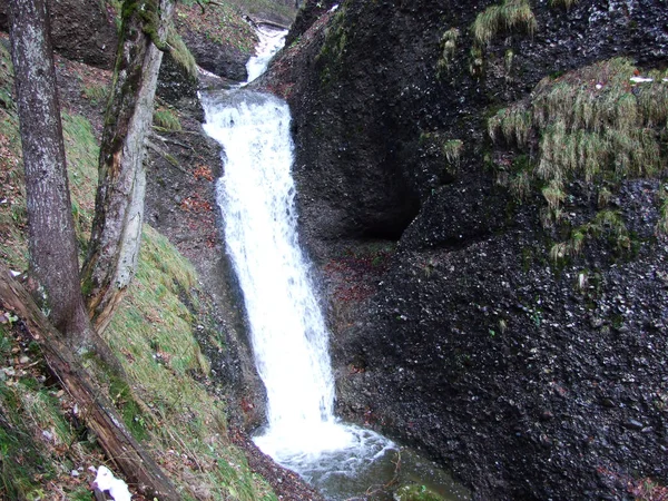 Wasserfälle Der Schwagalp Und Canyon Ofenloch Kanton Gallen Schweiz — Stockfoto