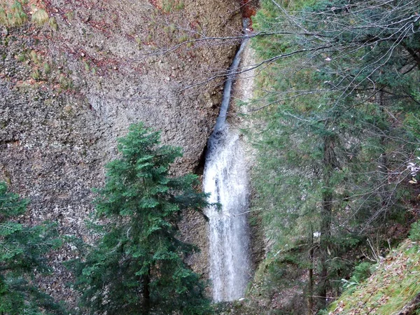 Vattenfall Schwagalp Regionen Och Kanjonen Avenloch Canton Gallen Schweiz — Stockfoto