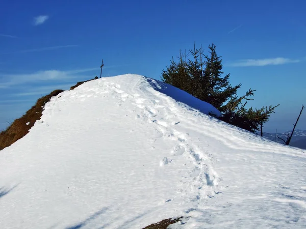 Vistas Ambiente Inverno Topo Spitzli Perto Assentamento Urnasch Cantão Appenzell — Fotografia de Stock