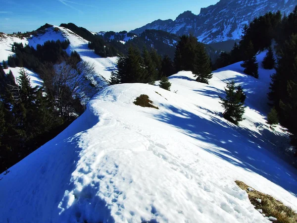 View Winter Ambiance Top Spitzli Urnasch Settlement Canton Appenzell Ausserrhoden — стоковое фото