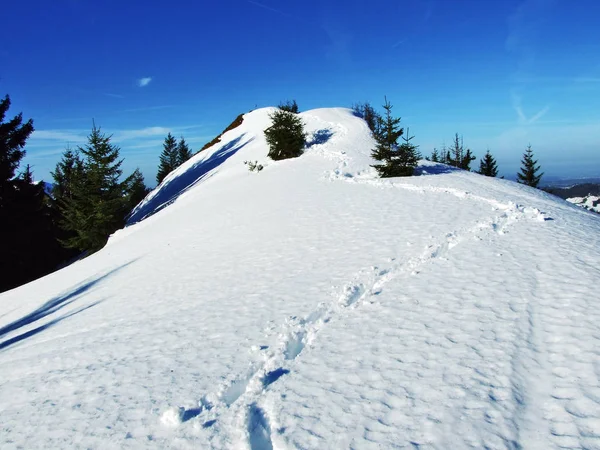 Vistas Ambiente Inverno Topo Spitzli Perto Assentamento Urnasch Cantão Appenzell — Fotografia de Stock