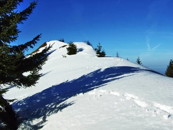 View Winter Ambiance Top Spitzli Urnasch Settlement Canton Appenzell Ausserrhoden — стоковое фото