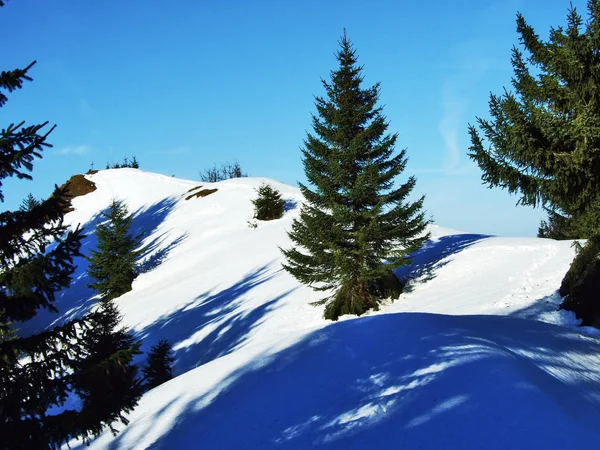 Aussicht Und Winterliches Ambiente Auf Dem Spitzli Bei Der Urnasch — Stockfoto